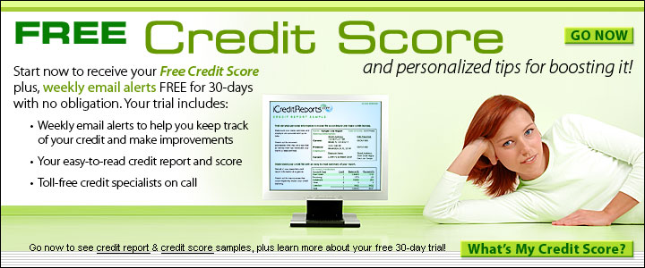 Credit Report Search